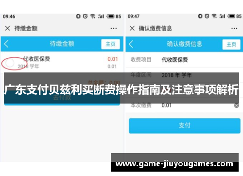 广东支付贝兹利买断费操作指南及注意事项解析